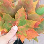 #Freitags5 – 5 Tage 5 Fotos im Oktober #03