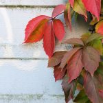 Bin ich gerne alleine? – 1000 Fragen an mich (261-280)