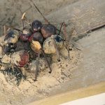 Viel Frischluft drinnen und draußen – Unser #WIB am 05./06.01.2019
