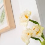 Verpasste Momente – Unsere Wochenlieblinge 11/2019