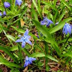 Frühling, wo bist du nur? – Wochenlieblinge 13/2019