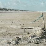 Wie weit ist eigentlich weit? – #fünffragenamfünften im März 2019