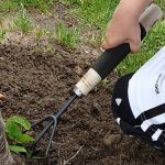 Irgendwas von allem – Unsere Wochenlieblinge 21/2019