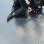 Jedes Jahr wieder ist da dieser Hauch von Wehmut…