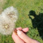 Warum ich nicht gerne telefoniere – #fünffragenamfünften im Mai