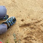 Wochenlieblinge 24/2019 – Endlich leckere Kirschen