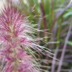 #fünffragenamfünften im Juli und die Frage nach Lieblingskuntswerken