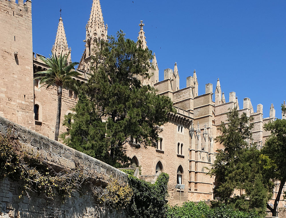 Palma