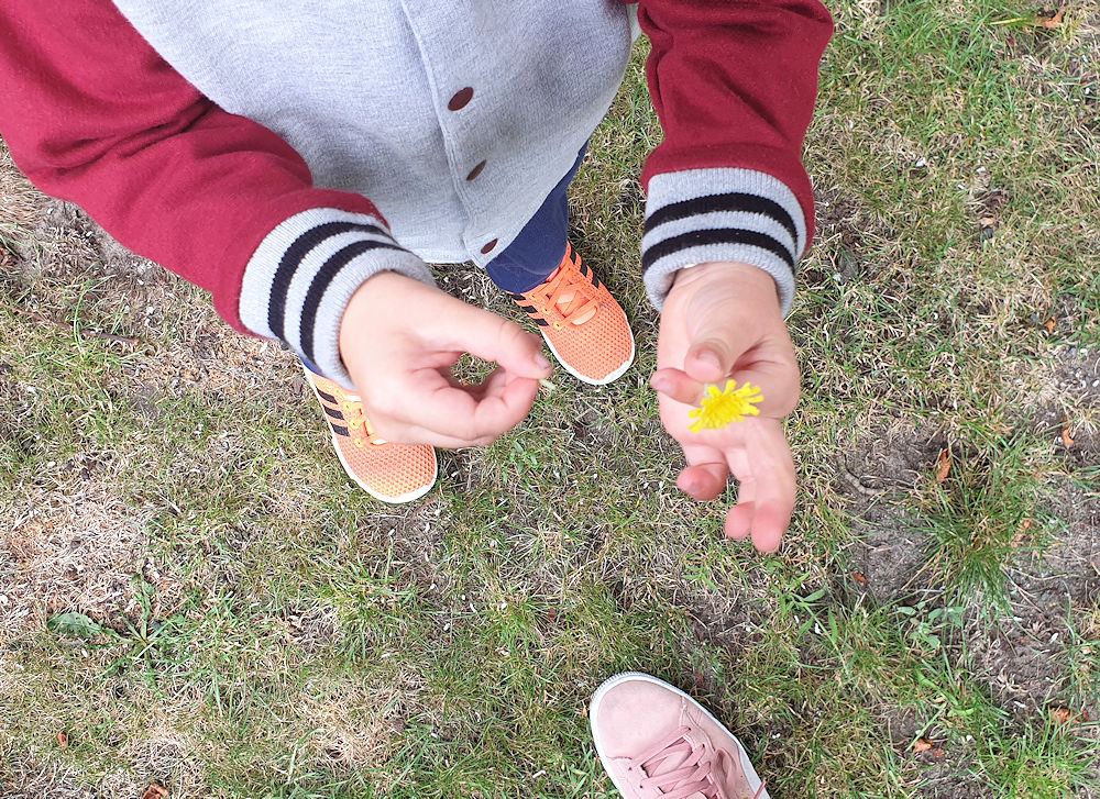 Blumen für Mama