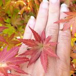 #fünffragenamfünften im August und kleine Dummheiten