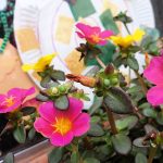 #12von12 im August – Alltag im Heldenhaushalt