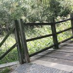 Unser #WIB am 10./11.08.2019 – Raus in die Natur und Ruhe…