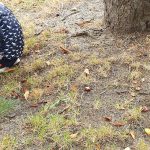 Wochenlieblinge 36/2019 – Veränderungen zu Hause…