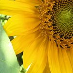 #fünffragenamfünften im September – Wohlfühlkleidung und Frustschoki