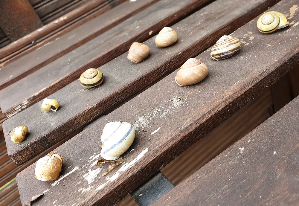 Fundstücke im Garten