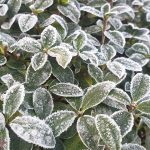 Wochenlieblinge 42/2019 – Sportlich, gruselig und frostig kalt!