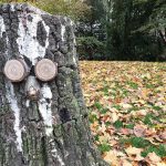 Unser #WIB am 19./20.10.2019 – Jubel, Trubel, Sonnenschein…