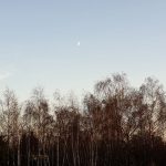 Wochenlieblinge 47/2019 – Hallo lieber Nikilaus