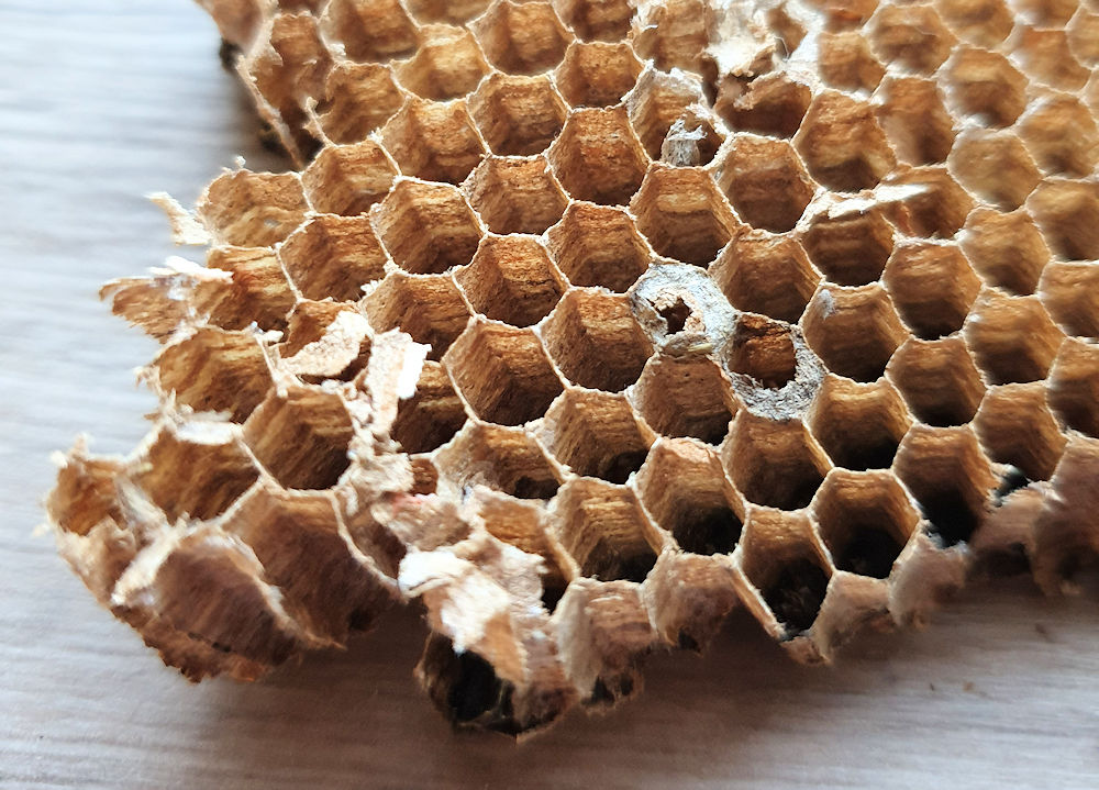 Bienenwabe