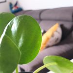 Mehr Zeit statt… – Über Projekte, eine Challenge und Aufräumen.
