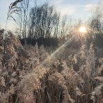 Unser #WIB am 11./12.01.2020 und #12von12 im Januar