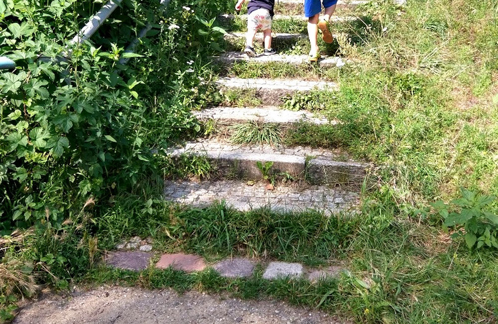 Entscheidungen