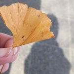 Meine Kinder in den “Corona – Ferien”…
