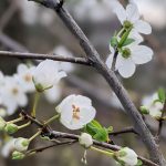 Wochenlieblinge 11/2020 – Regen, Sonne, Regen…