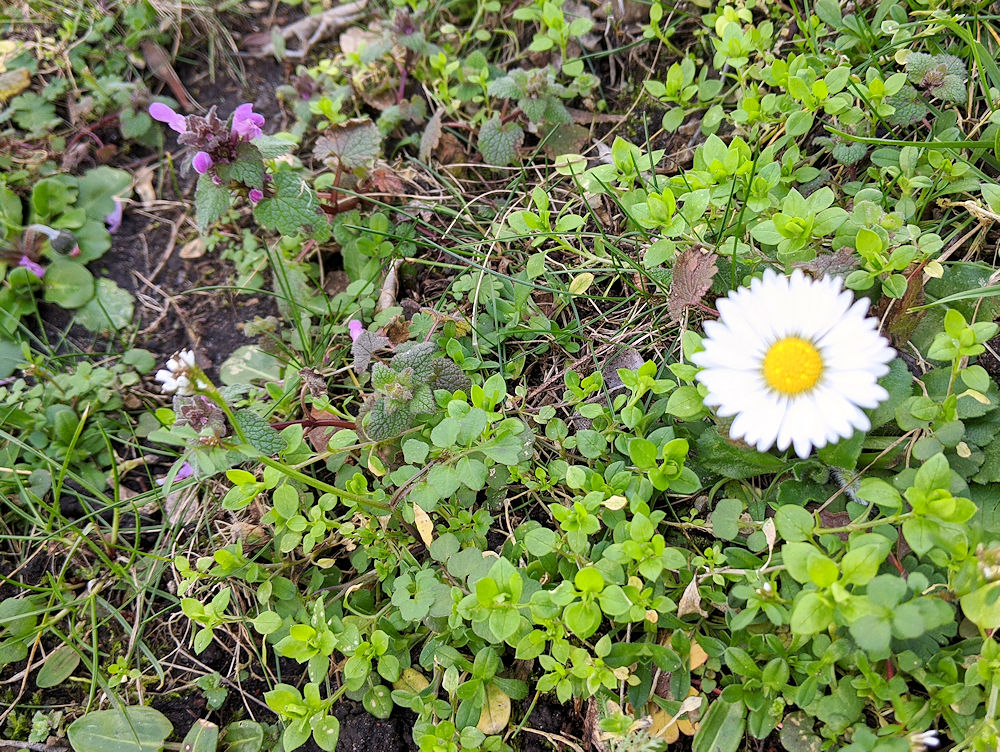 Frühling?