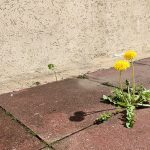 Unser #WIB am 18./19.04.2020 – Eine Phase endet…