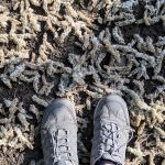 #12von12 im Mai – “Schulalltag” und Frischluft!