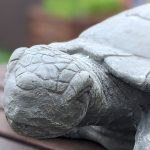 Unsere Glücksmomente 24/2020 – Schildkrötenliebe?