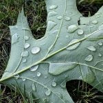 Unser #WIB am 25./26.07.2020 – Noch ein bisschen feiern