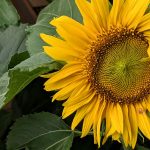 #30am30 im August – Gute Dinge und Glücksmomente im August