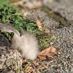 Unsere Glücksmomente 39/2020 – Herbstanfang!