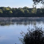 Gedankentagebuch #17 – Bereit für den Herbst, aber nicht für die Schule