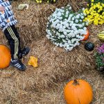 Unser #WIB am 26./27.09.2020 – Kürbis-Kuschelwochenende