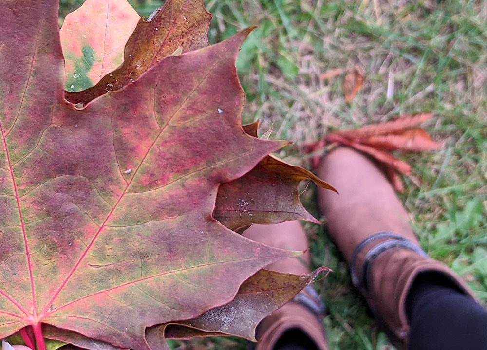 Herbstliebe