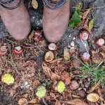 Es ist Herbst! – Herbstliebe! Herbstblues?