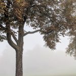Unsere Glücksmomente 42/2020 – Ein bisschen Fernweh!