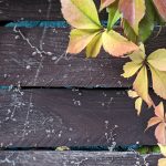 Unser #WIB am 24./25.10.2020 – So gehört sich der Herbst!