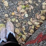 #12von12 im November – Wenn die Sonne früh schlafen geht