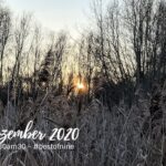 #30am30 und unsere #bestofnine im Dezember 2020
