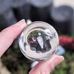 Creadienstag – Ein neuer Adventskranz entsteht