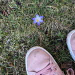 Warum der Frühling jetzt genau richtig kommt!