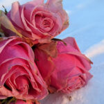 Unser #WIB am 13./14.02.2021 – Valentinstagsgrüße aus dem Schnee