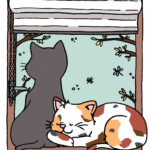 Creadienstag – Katzen und ihre seltsamen Vorlieben #Ausmalbild