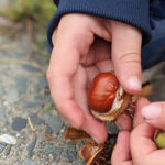 Wochenlieblinge 38/2021 – Herbstliebe ohne Ende