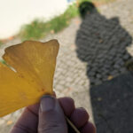 Unsere Wochenlieblinge 44/2021 – Kleine Auszeiten und To-Do-Listen