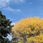 Unser #WIB am 02./03.10.2021 – Ich brauch ein Wochenende vom Wochenende